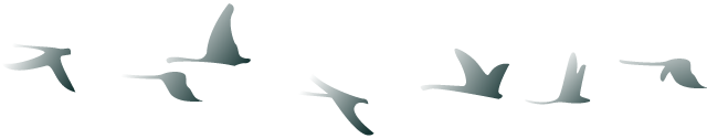 10.png 10.png