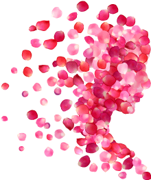 6.png 6.png