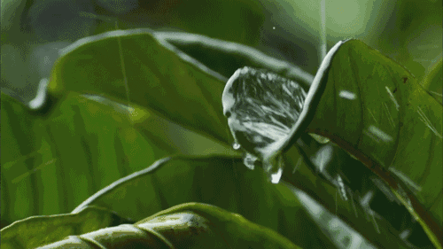 微信圖片_20201108160258.gif 微信圖片_20201108160258.gif